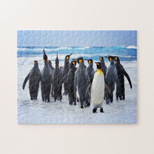 Penguins Marching to Ocean Jigsaw Puzzle