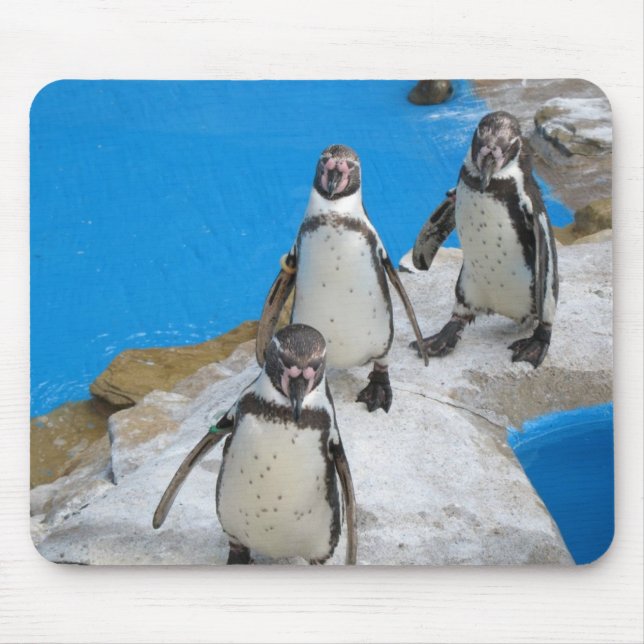 penguins mousepad (Front)