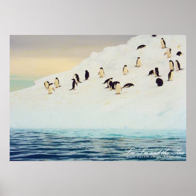 Penguins On Ice, print (Front)