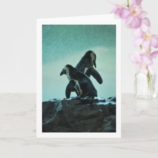 Penguins on Rock Card (Orchid)