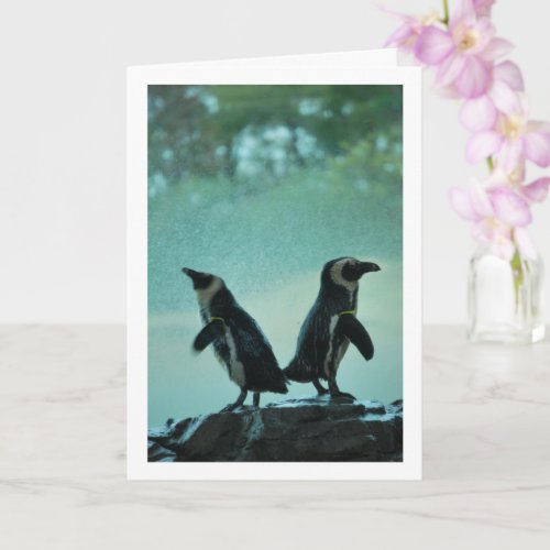 Penguins on Rock Portrait Card