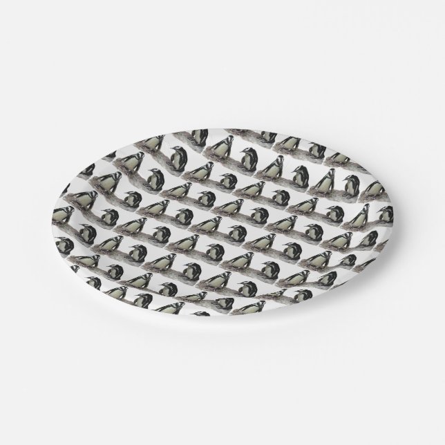 Penguins Paper Plates (Angled)