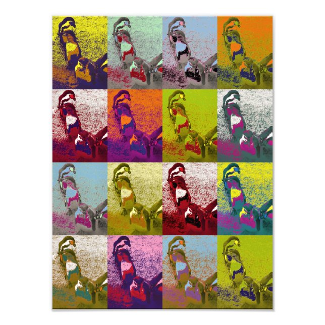 PENGUINS PHOTO PRINT (Front)