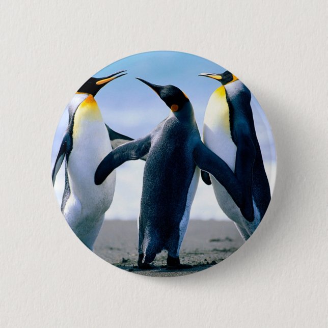 Penguins Pinback Button (Front)