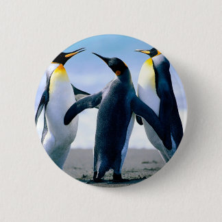 Penguins Pinback Button