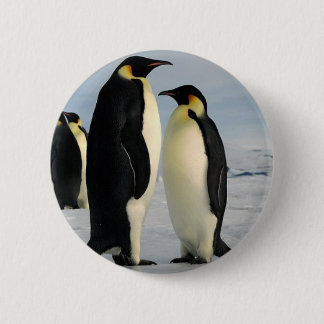 penguins-poop-from-outer-space button