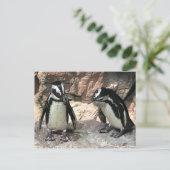 Penguins Postcard (Standing Front)