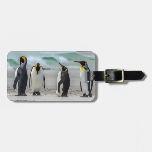 Penguins preening on beach luggage tag