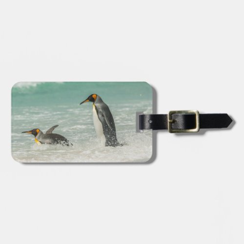 Penguins swimming on the beach luggage tag