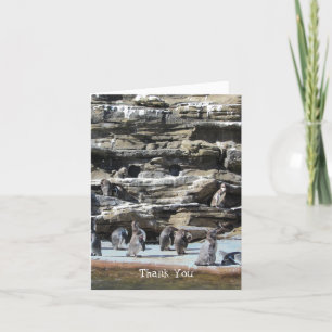 Penguins Thank You Card