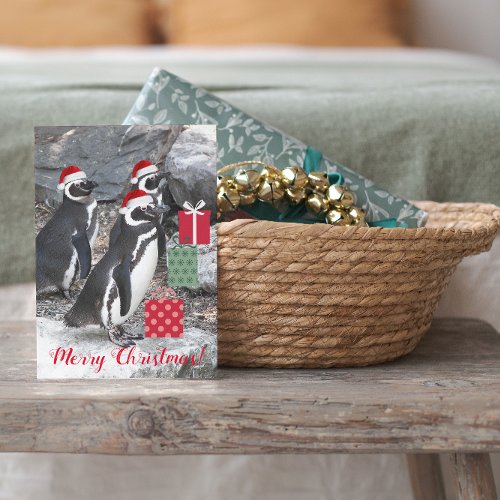 Penguins Wearing Santa Hats Funny Holiday Card