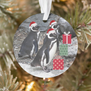 Penguins Wearing Santa Hats Holiday Ornament