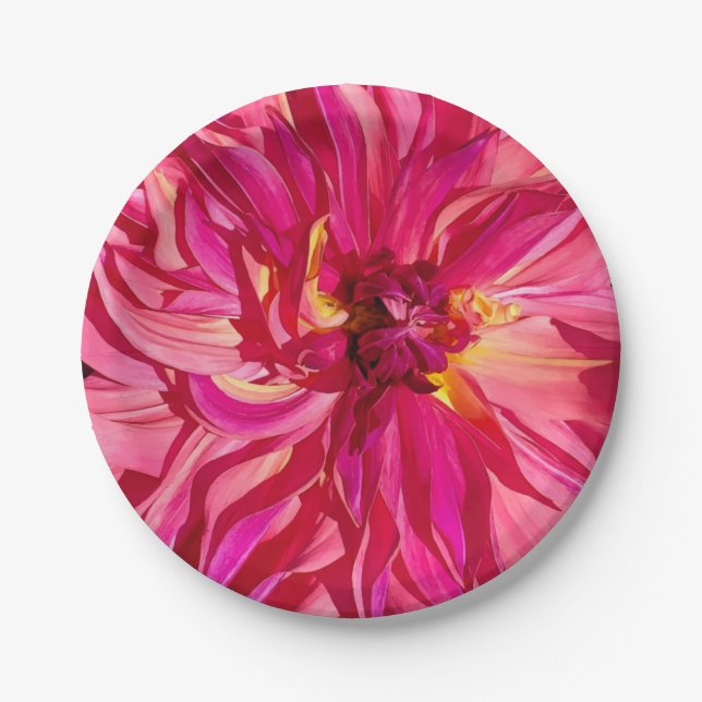 Penhill Dark Monarch dahlia closeup paper plates (Front)