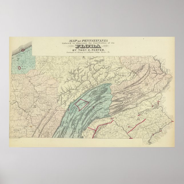 Penn flora poster (Front)