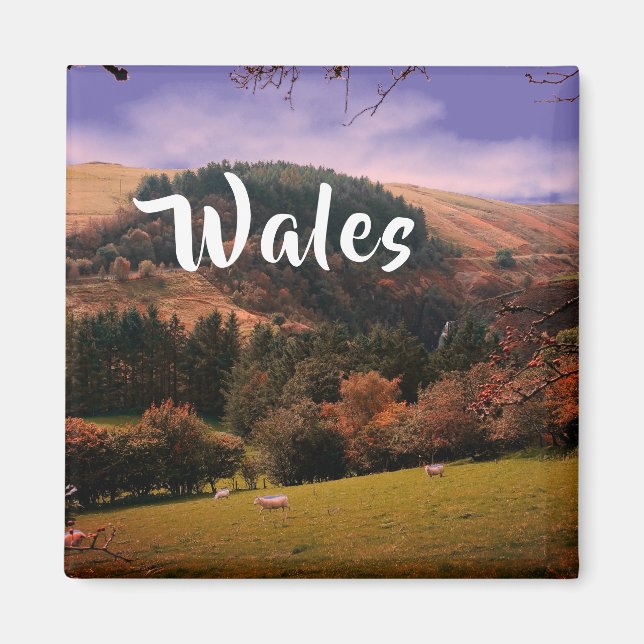 Pennant Valley Pasture in Wales Magnet (Front)