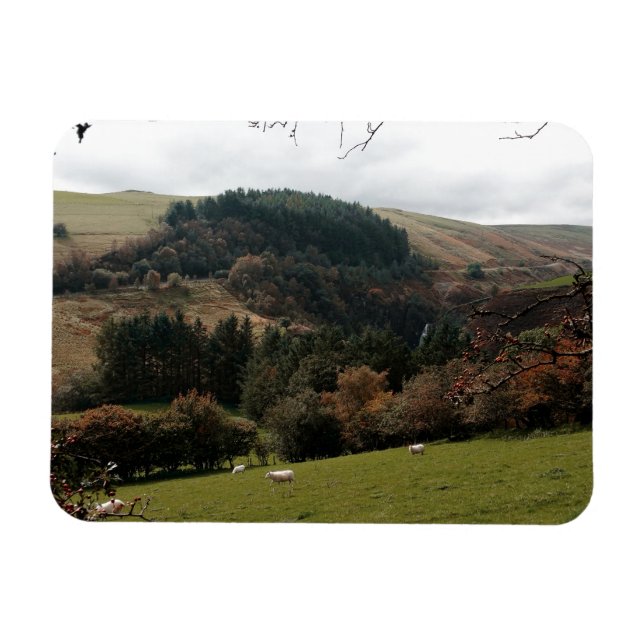 Pennant Valley Wales Magnet (Horizontal)
