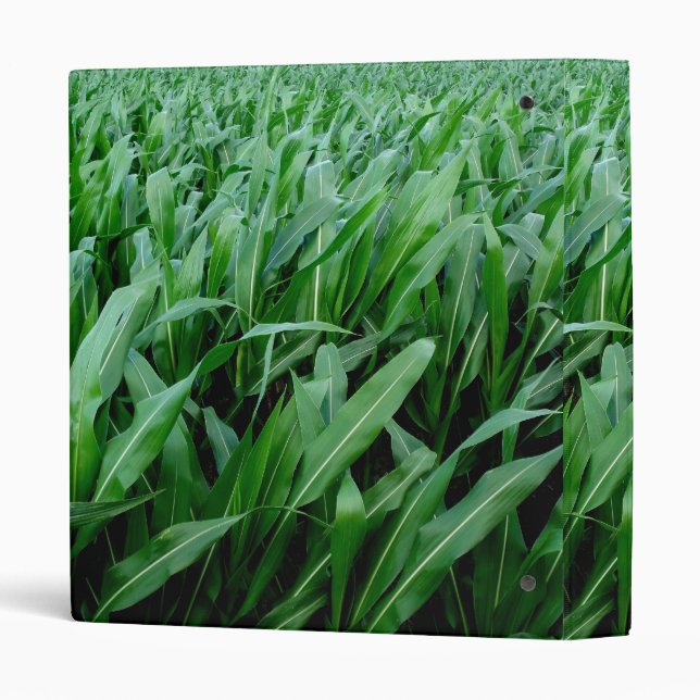 Pennsylvania Corn Binder (Back/Spine)