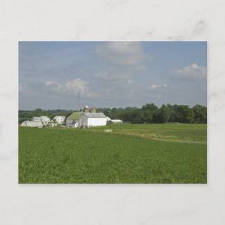 Pennsylvania Countryside Postcard