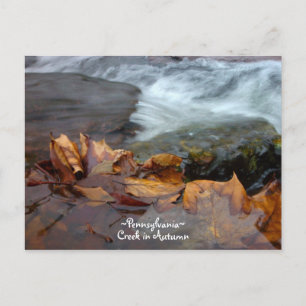 Pennsylvania creek Postcard