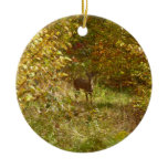 Pennsylvania Deer in Fall Ceramic Ornament