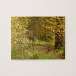 Pennsylvania Deer in Fall Nature Jigsaw Puzzle
