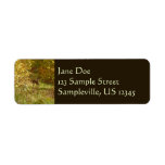 Pennsylvania Deer in Fall Nature Label