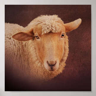 Pennsylvania Farm Animal Print