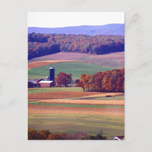 Pennsylvania Farm in Autumn Postcard (Front)