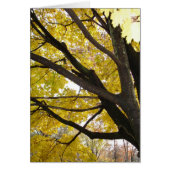 Pennsylvania Gold (Front)