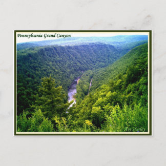 Pennsylvania Grand Canyon in summer Postcard