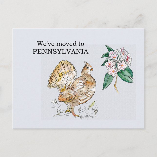 Pennsylvania Postcard (Front)