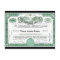 Pennsylvania Railroad CUSTOM Stock Certificate