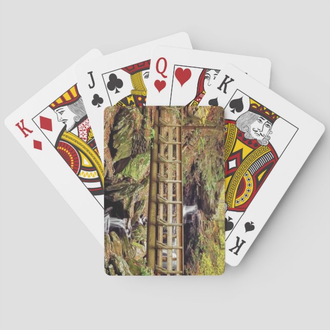 Pennsylvania, RICKETTS GLEN FALLS TRAIL Poker Cards (Back)