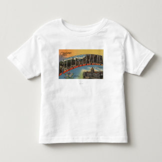Pennsylvania (State Capital/Flower) Toddler T-shirt
