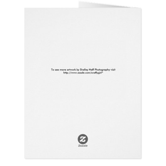 Pennsylvania State Capitol Christmas Tree Lights (Back)