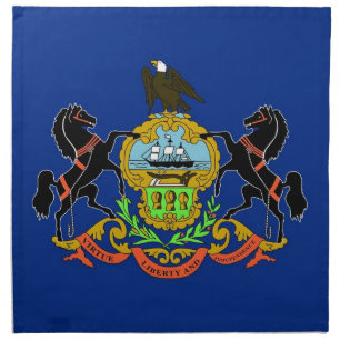 Pennsylvania State Flag American MoJo Napkin