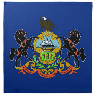 Pennsylvania State Flag American MoJo Napkin