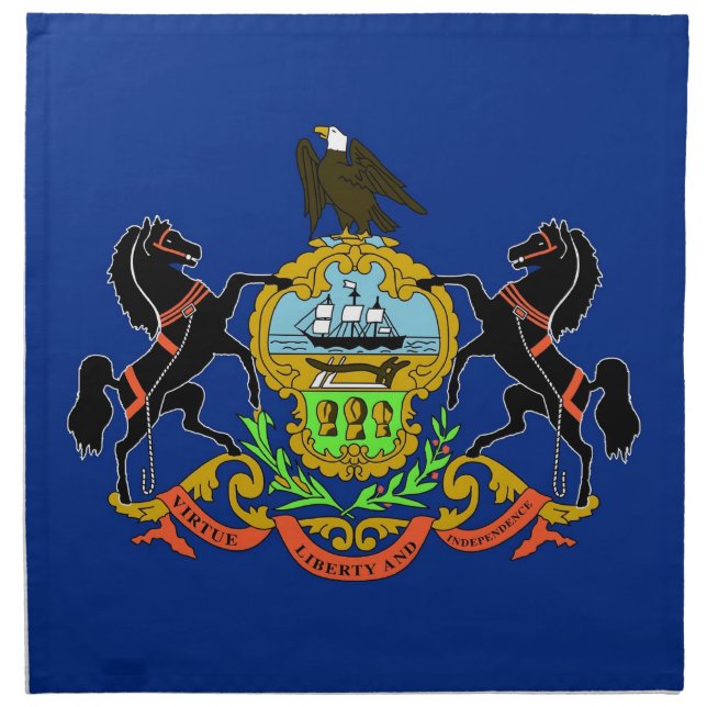 Pennsylvania State Flag American MoJo Napkin (Front)