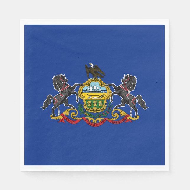 Pennsylvania State Flag Napkins (Front)