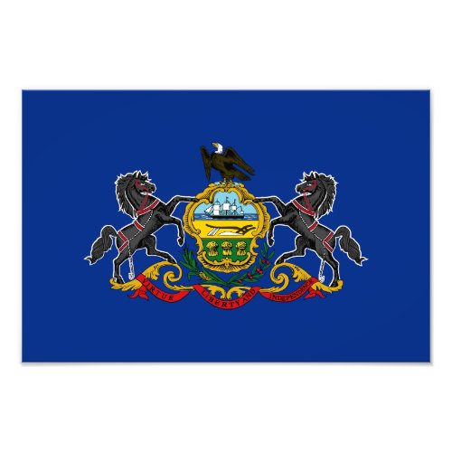 Pennsylvania State Flag Photo Print