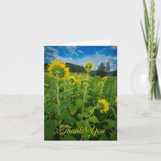 "Pennsylvania Sunflower Field"  Card (Front)