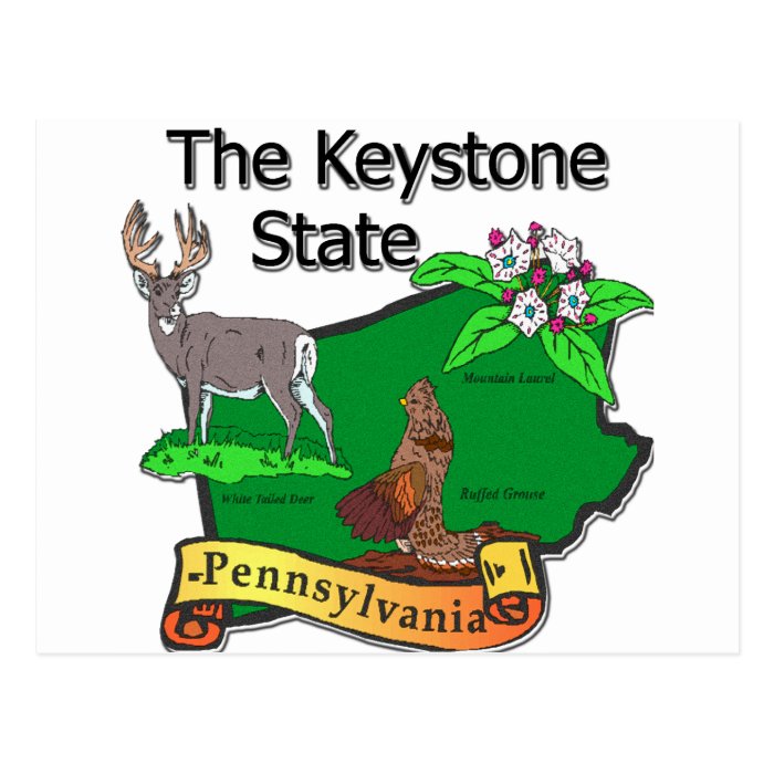 Pennsylvania The Keystone State Bird Deer Flower Postcards
