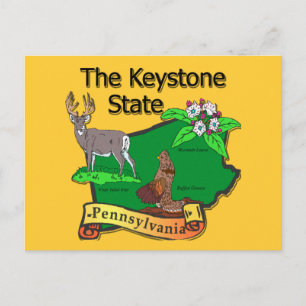 Pennsylvania The Keystone State Bird Deer Flower Postcard