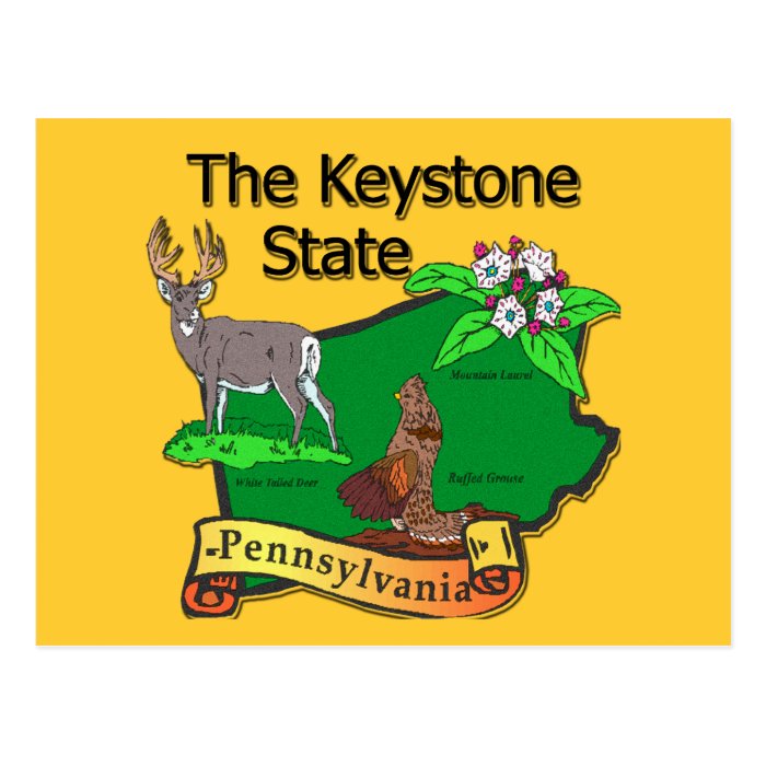 Pennsylvania The Keystone State Bird Deer Flower Postcard