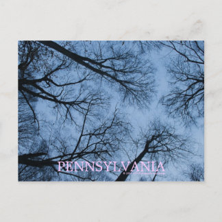 Pennsylvania Touching the Skies Postcard