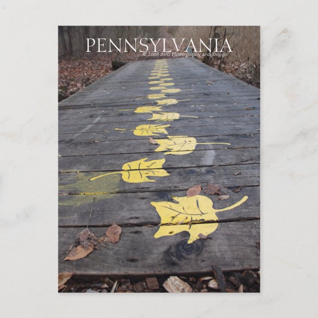 Pennsylvania Walk Through The Park Postcard (Front)