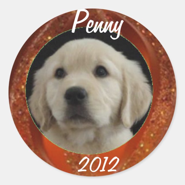 Penny 2012 Sticker Sheet (Front)