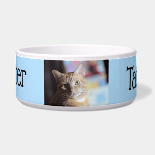 Penny bowl
