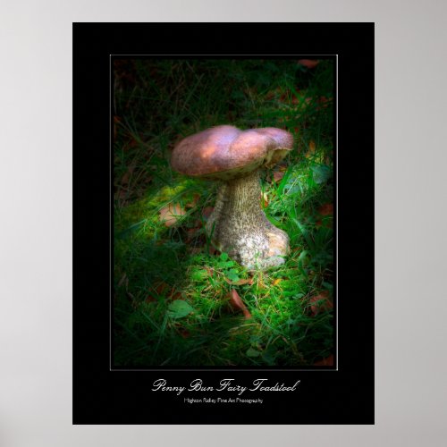 Penny Bun Fairy Toadstool gallery_style poster