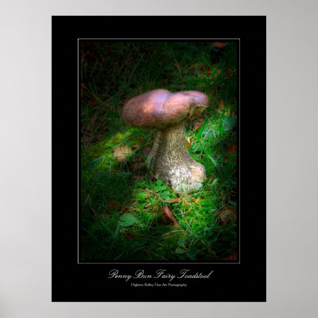 Penny Bun Fairy Toadstool gallery-style poster (Front)